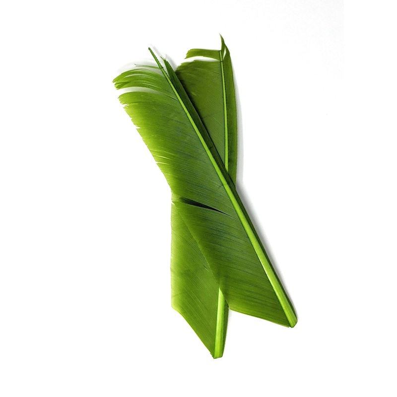 Nature’s Spirit Turkey Biot Quill Pieces