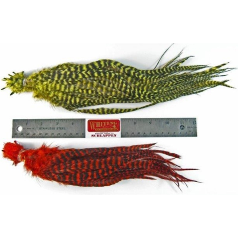 Whiting Schlappen Pack 10-14 Bundle