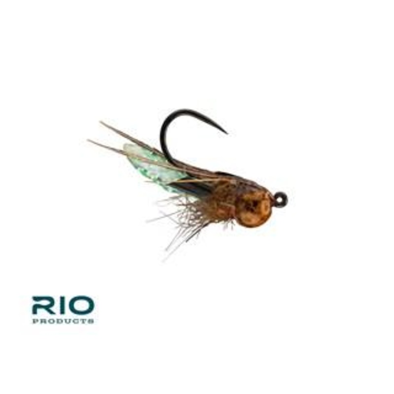 RIO Puparazzi|Caddis Green|Honey|Light Olive|Tan/Olive|Chartreuse|16|14