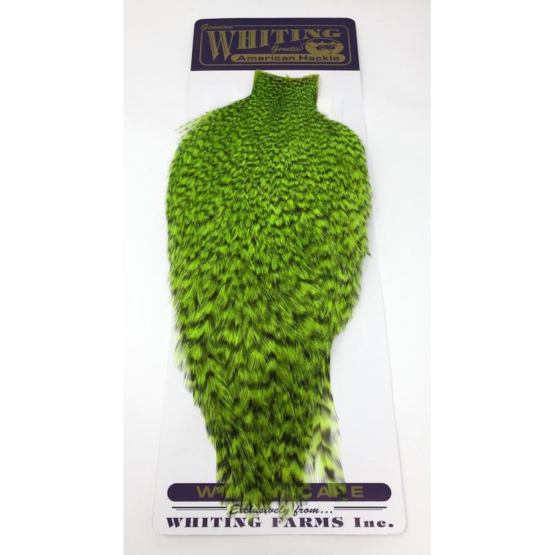 Whiting American Rooster Cape|White|Tan|Grizzly Dyed Tan|Grizzly Dyed Olive|Grizzly|Orange|Grizzly Dyed Orange|Grizzly Dyed Fl Green Chartruese|White dyed Claret|Grizzly Dyed Yellow|Grizzly Dyed Red|Grizzly Dyed Golden Olive|Grizzly Purple|Purple|White dy