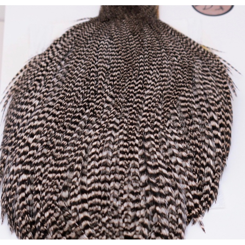 Whiting Bronze Cape|Grizzly|Brown|Medium Dun|Med Barred Ginger|White