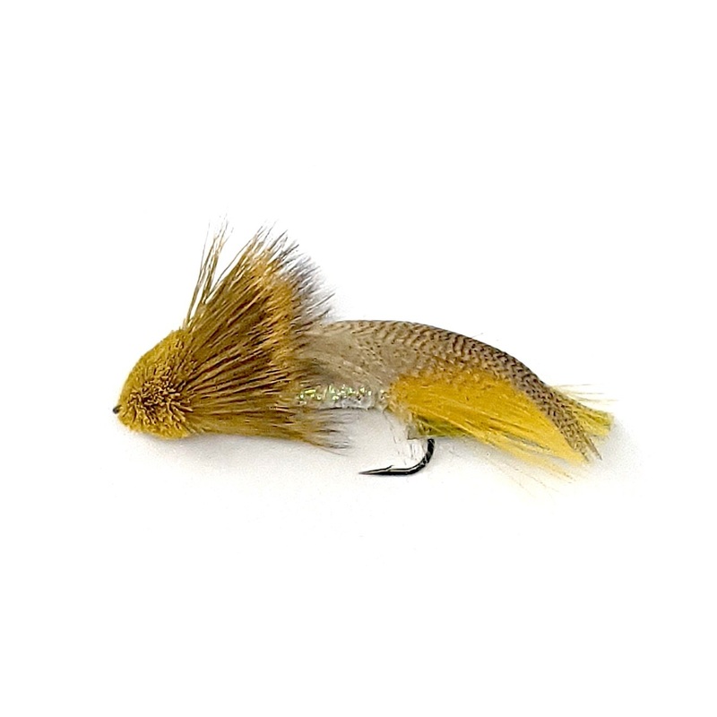 Galloup’s Zoo Cougar|Yellow|Tan|White|Golden Brown|4