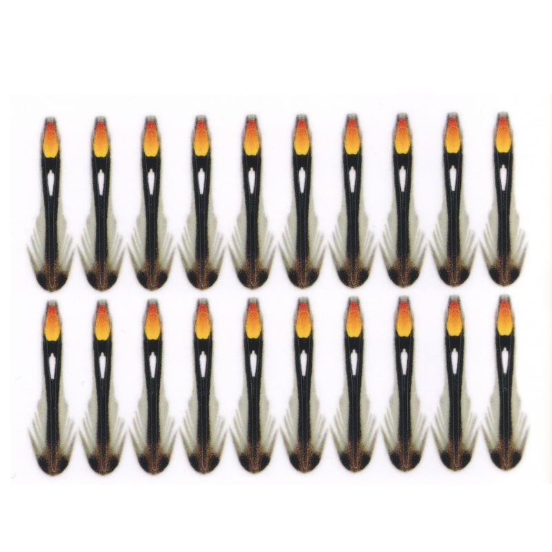 Semperfli Jungle Cock Cheeks|Natural|Blue|Green|Hot Orange|Pink|Purple|10mm X-Small|17mm Small|24mm Medium|30mm Large