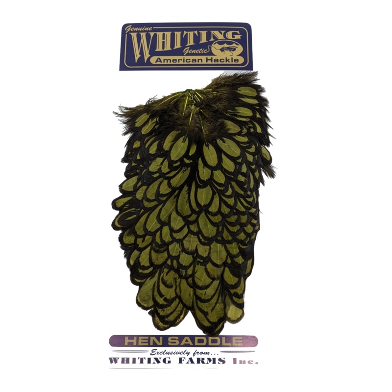 Whiting American Hen Saddle Black Laced White