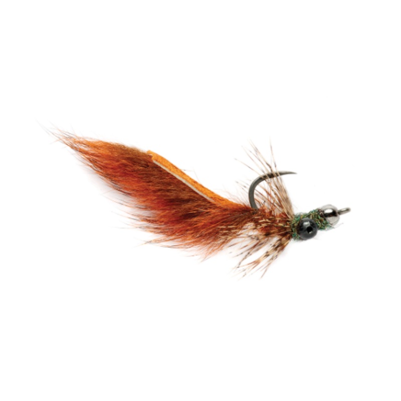 Headstand|Crawfish|Olive|8