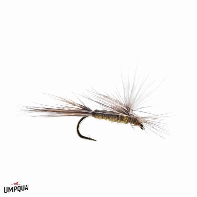 Neal Para Emerger|BWO|Sulphur|18|16