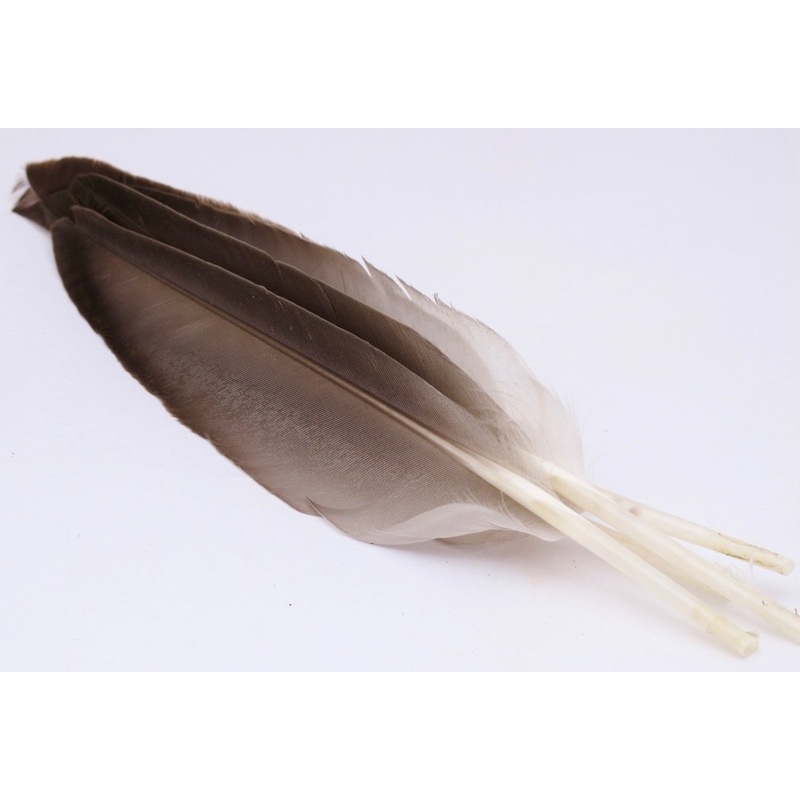 Nature’s Spirit Duck Quills|Natural Gray|Medium Dun|Black