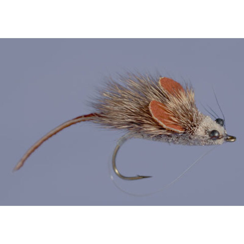 Whitlock’s MouseRat – Natural|6|10