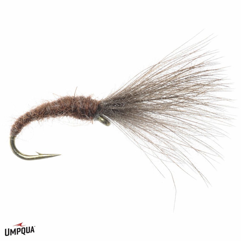 Craven’s Mole Fly|Brown|Olive|18|20