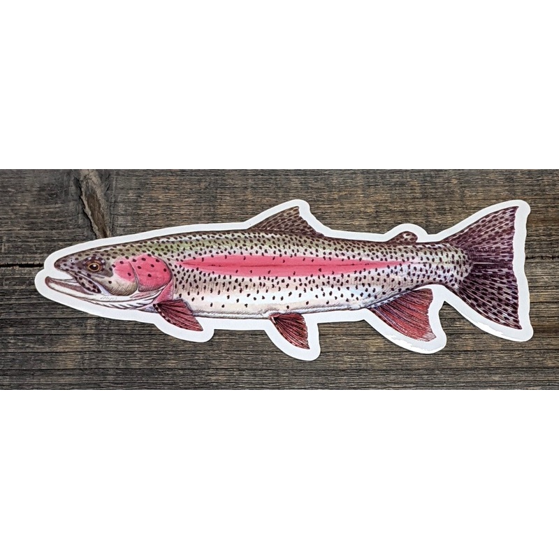 Jeff Currier Decals|Rainbow Trout|Brown Trout|Brook Trout|10 inch|Oval|5 inch
