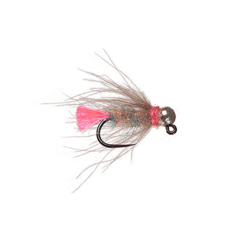 Finlayson’s Dirty Politician|Orange|Pink|Chartreuse