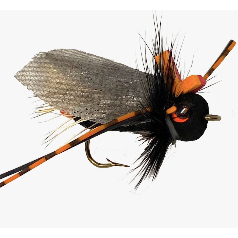 Rainy’s Ultimate Cicada|Black/Orange|8|10|6