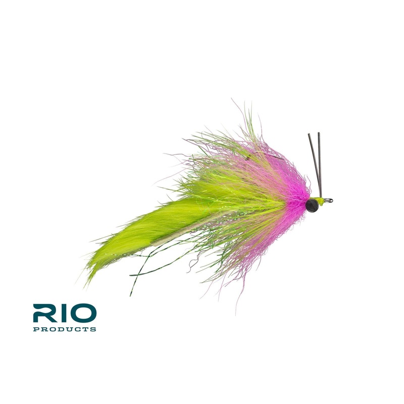 Boyle’s Swamp Fox|1|Electric Chicken