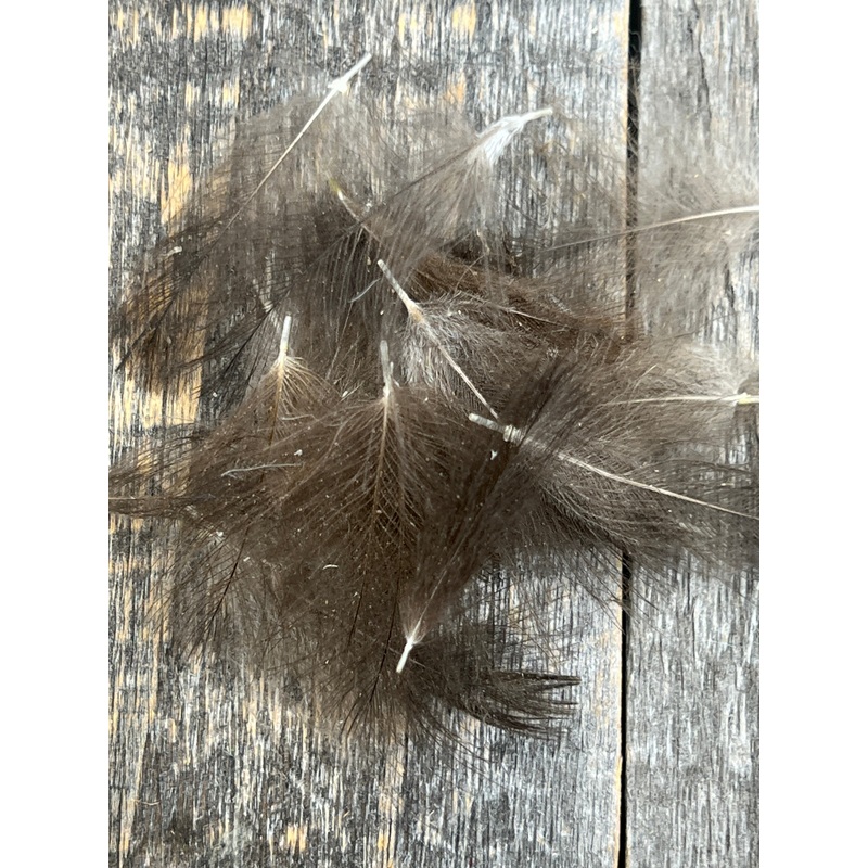 Duck CDC Natural TG|Dark Dun|Mallard Dun|Medium Dun|Light Dun