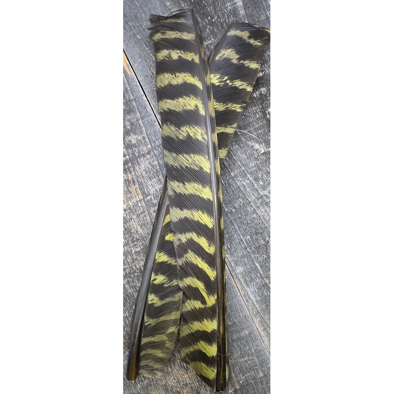 Barred Turkey Biot Quills|Natural|Med Dun|Brown|Rusty Brown|Callibaetis|Tan|Chartreuse|Light Olive|Olive|Dark Olive|Brassy Olive|Caddis Green|Yellow|Golden Stone|Orange|Burnt Orange|Purple