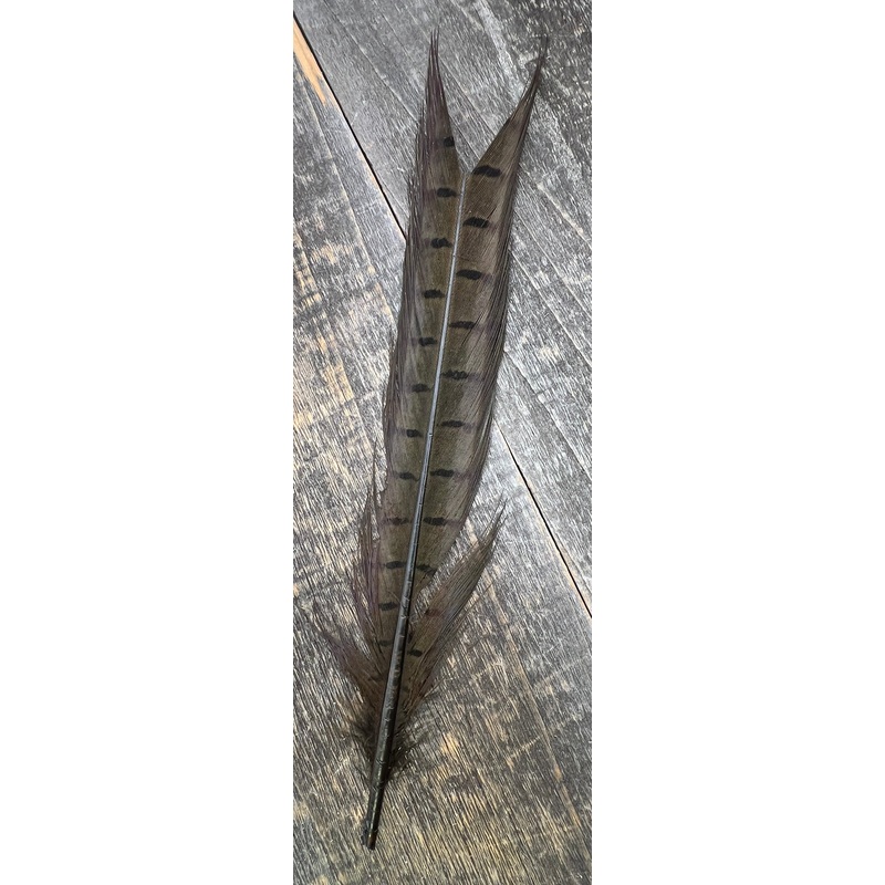 Ringneck Pheasant Tail Nymph Selection