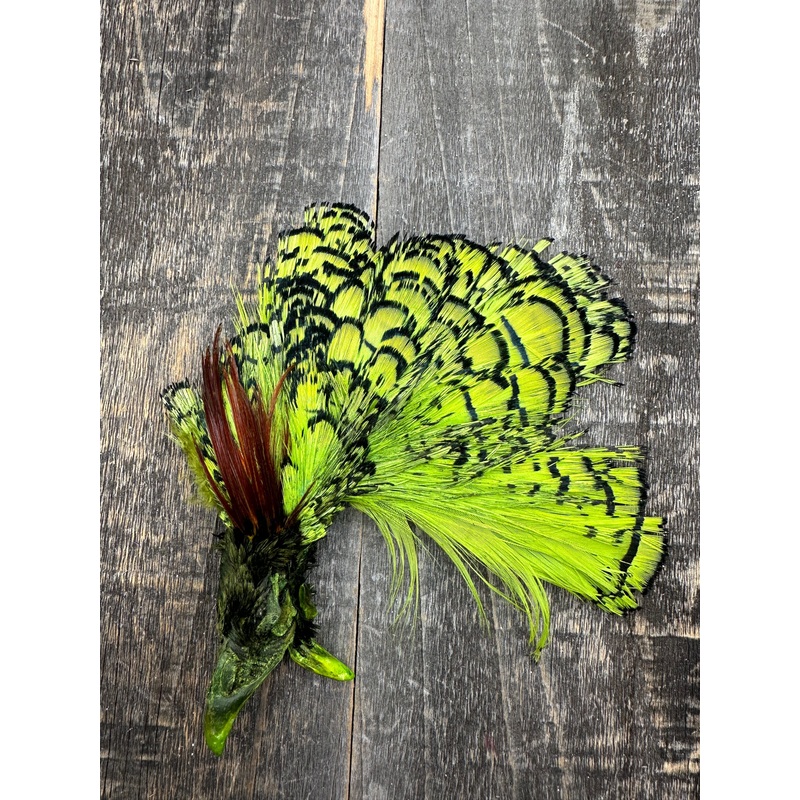 Cascade Crest Amherest Head|Fl. Chartreuse|Red|Natural|Fl. Yellow|Fl. Orange|Fl. Red|Fl. Blue|Fl. Purple