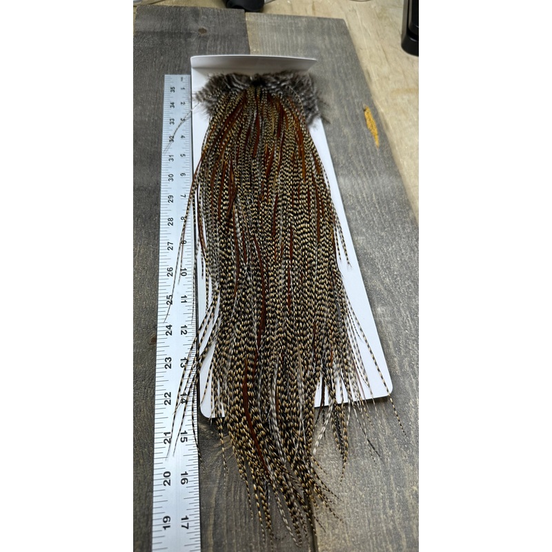 Whiting Bronze Grade Saddle Cree #8