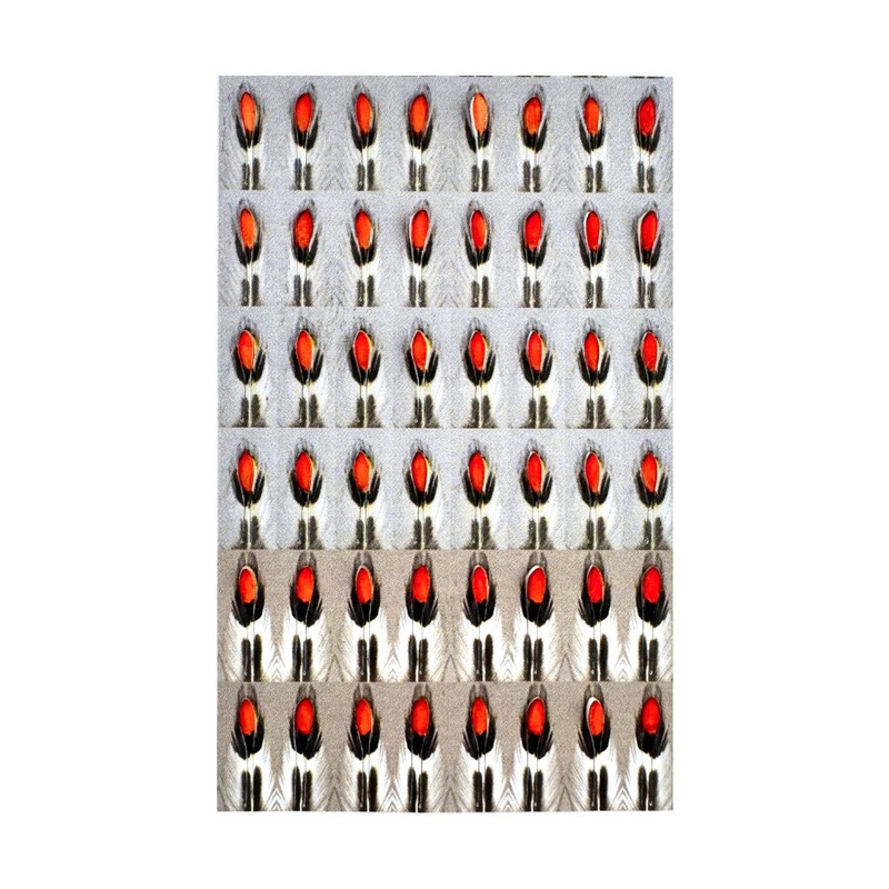 Limestone Synthetic Jungle Cock – 48 eyes / pack