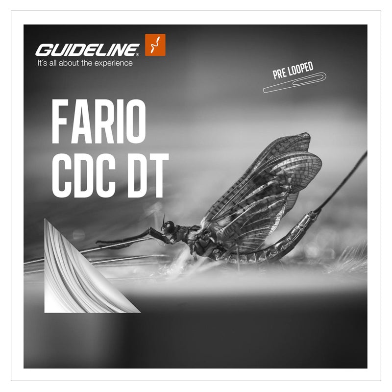 Guideline Fario CDC DT|DT4 Floating|DT5 Floating|DT3 Floating