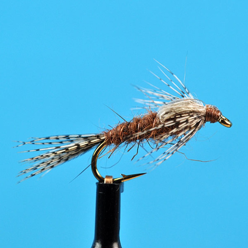 Bead head may fly brown|12|14|16|18|20