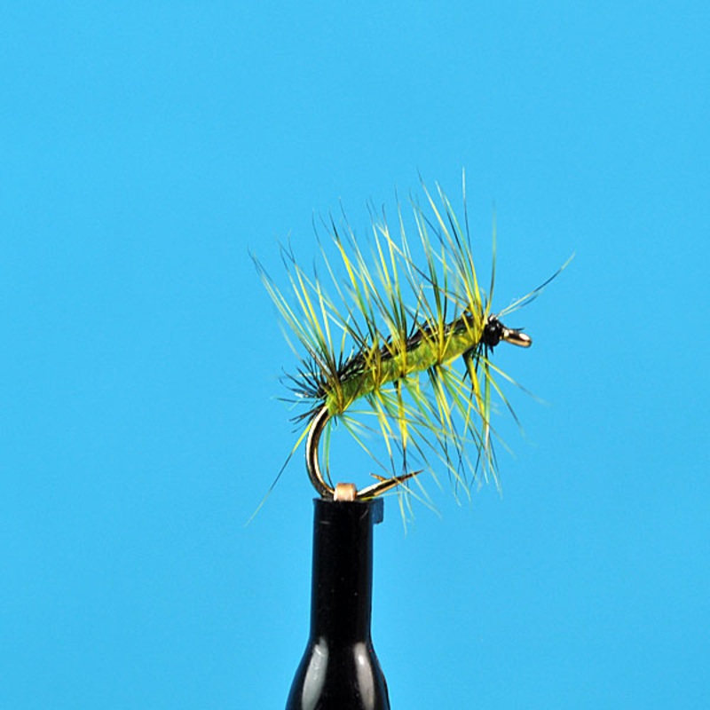 Crackle back chartreuse|12|14|16|20