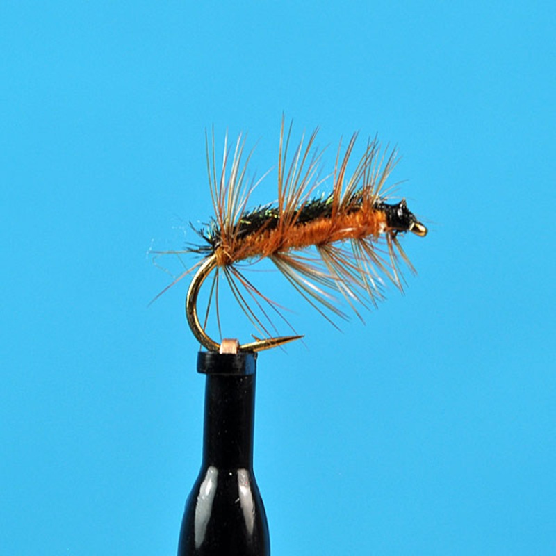 Crackle back orange|12|14|16|24