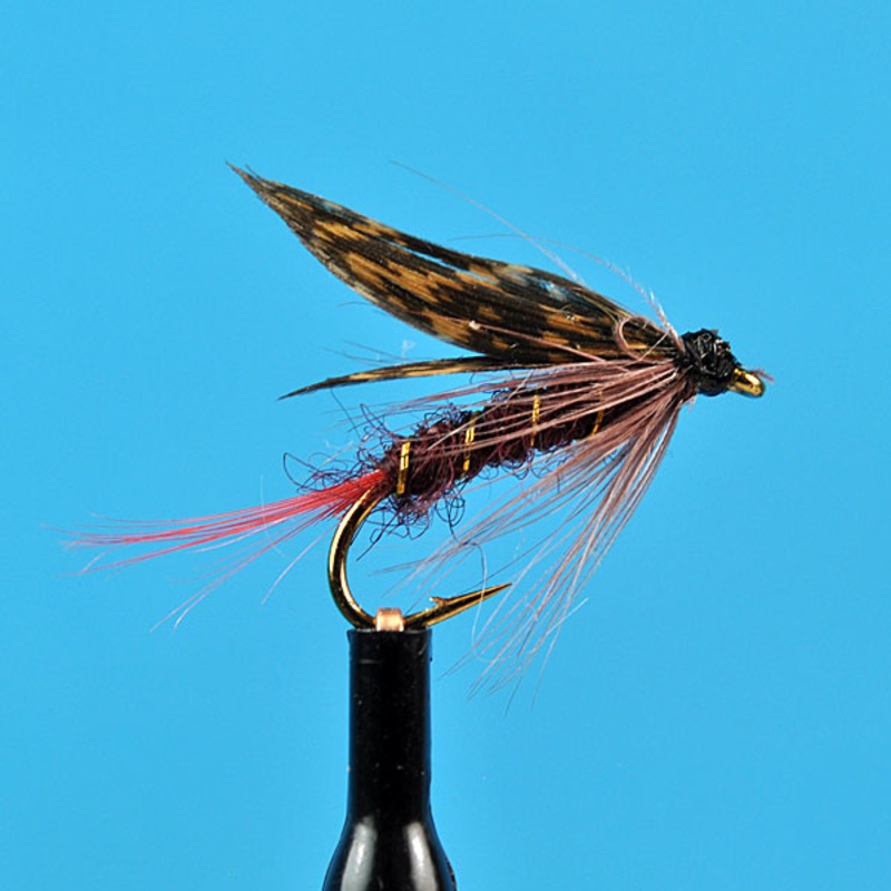 Montreal wet fly|10|12|14|16