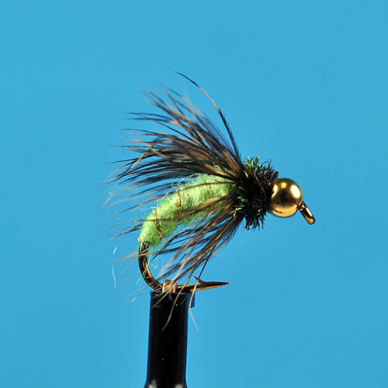 Bead head caddis chartreuse|12|14|16|18