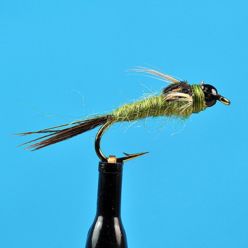 Bead Head Calibaetis Olive|12|14|16|18