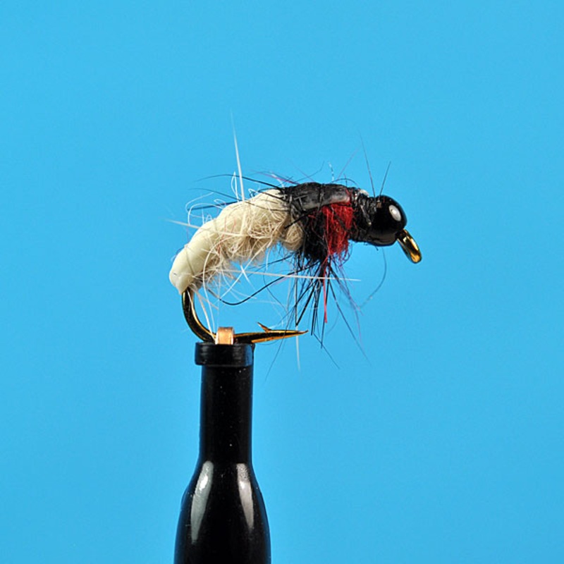 Bead head czech caddis|12|14|16|18