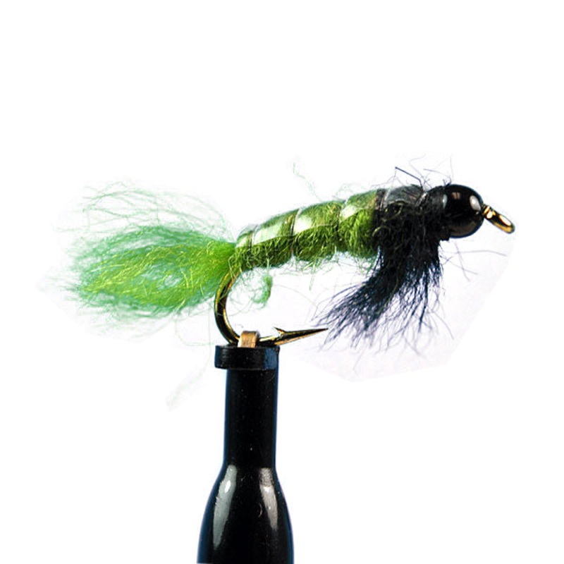 Bead head uncased caddis|14|16|18|20