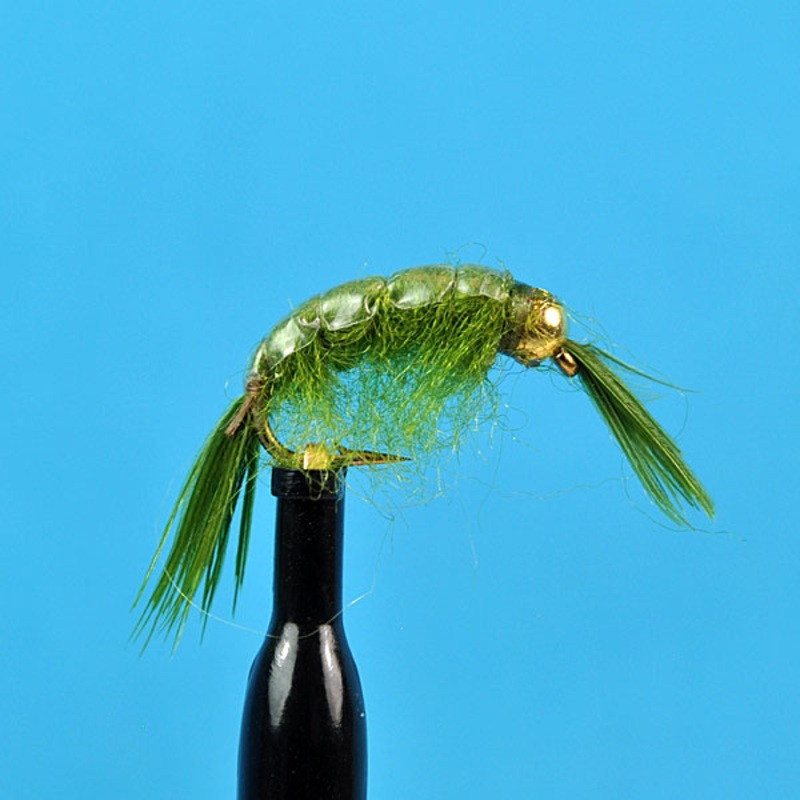 Bead head scud olive|12|14|16|18