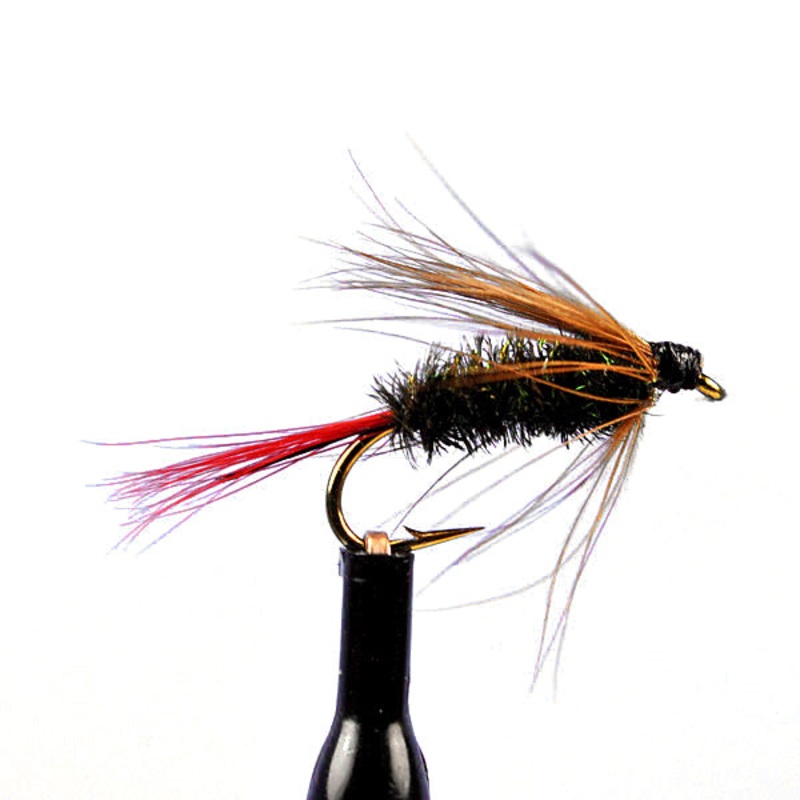 Brown hackle peacock|10|12|14|16