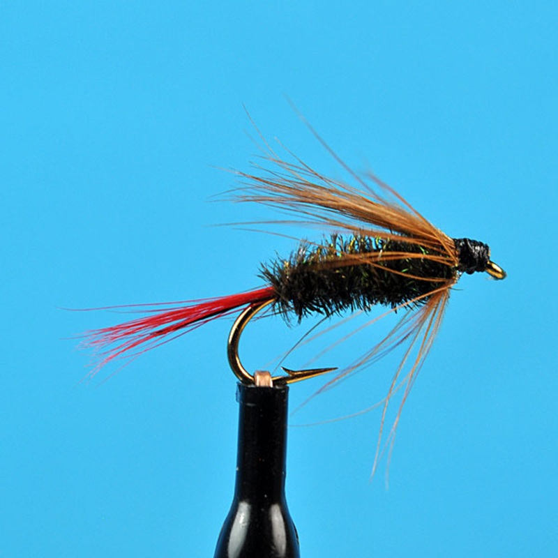 Brown hackle peacock|10|12|14|16