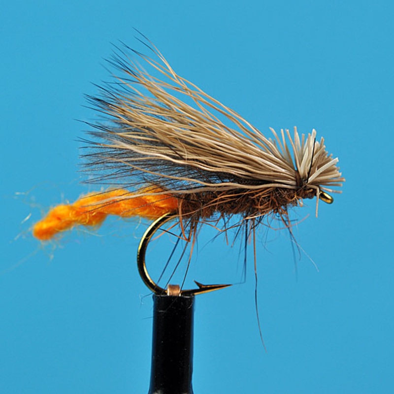 Caddis champ|12|14|16|18