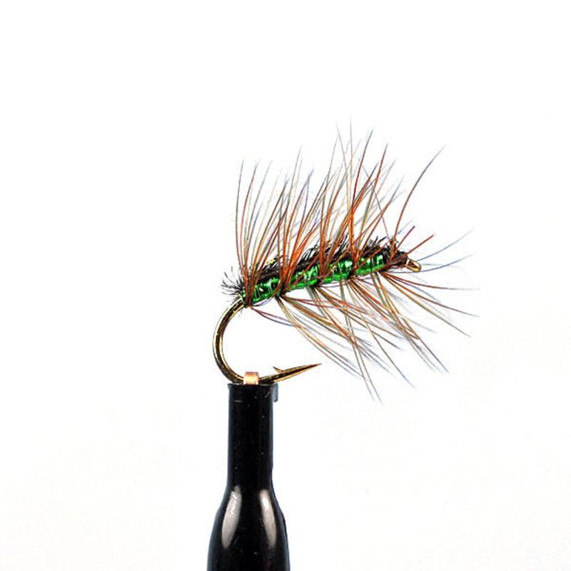 Crackle back green|12|14|16|22