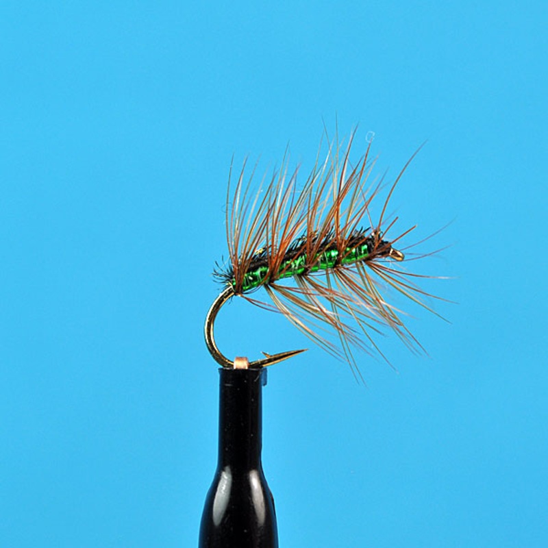 Crackle back green|12|14|16|22