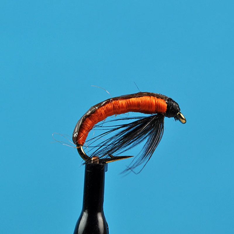 Eastern european grub|12|14|16|18
