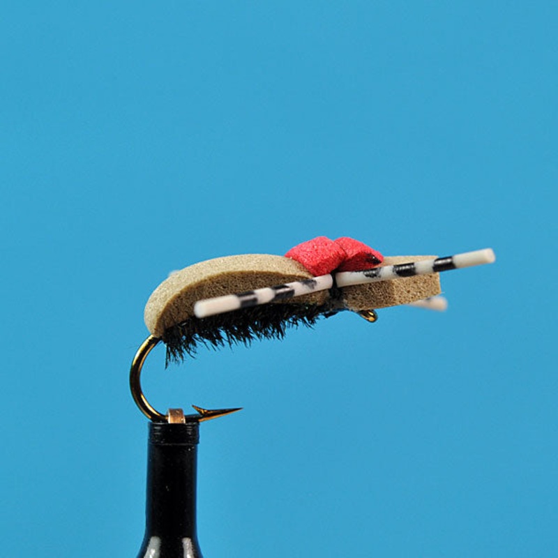Hi vis foam beetle|10|12|14