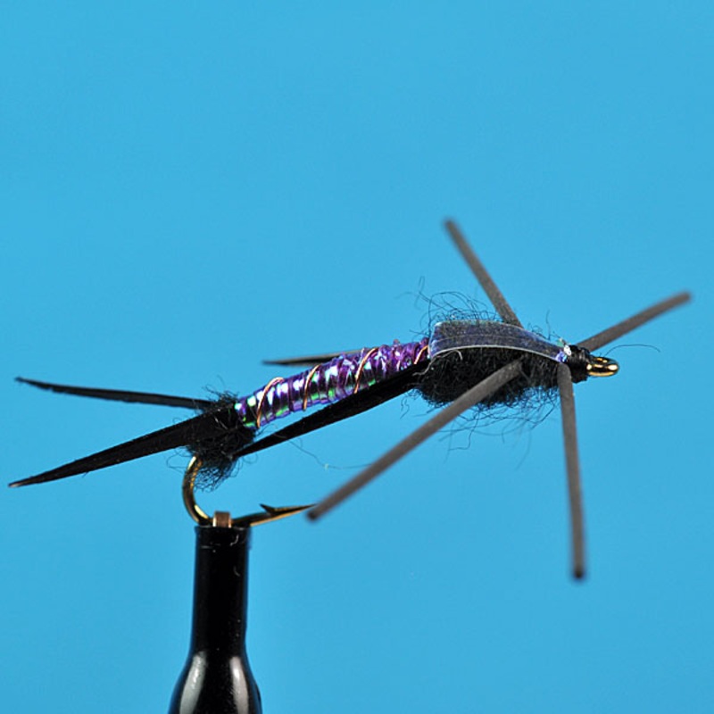 Lighting stone fly purple|12|14|16|18