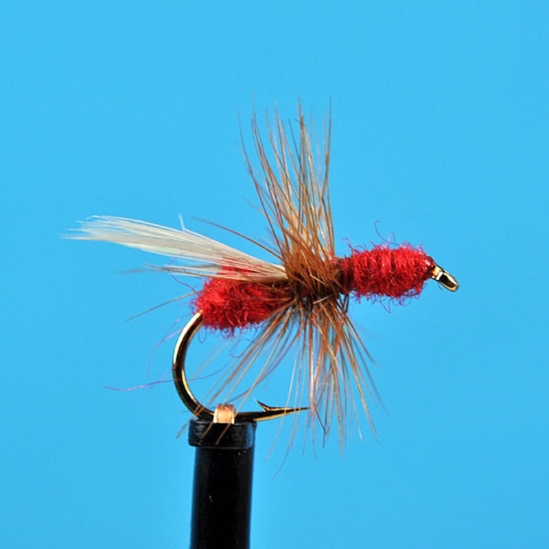 Red flying ant|12|14|16|18