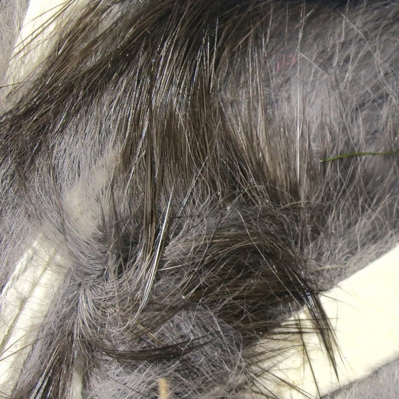 Hareline Magnum Rabbit Strips|Black |11|Charcoal |53|Chartreuse |54|Chinchilla |57|Fl. Blue |125|Fl. Pink |138|Fl. Yellow Chartreuse |143|Flesh |123|Gold Variant |154|Grizzly Hare’s Ear |4|Hot Orange |187|Olive |263|Olive Variant |270|Peachy Pink |281|Pur