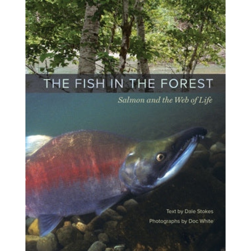 The Fish in the Forest: Salmon and the Web of Life by Dale Stokes