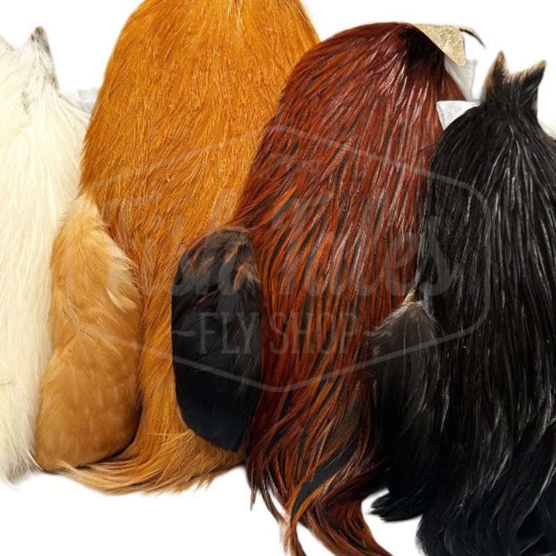 Whiting Farms 4B Rooster Cape|Black|Furnace|Ginger|White