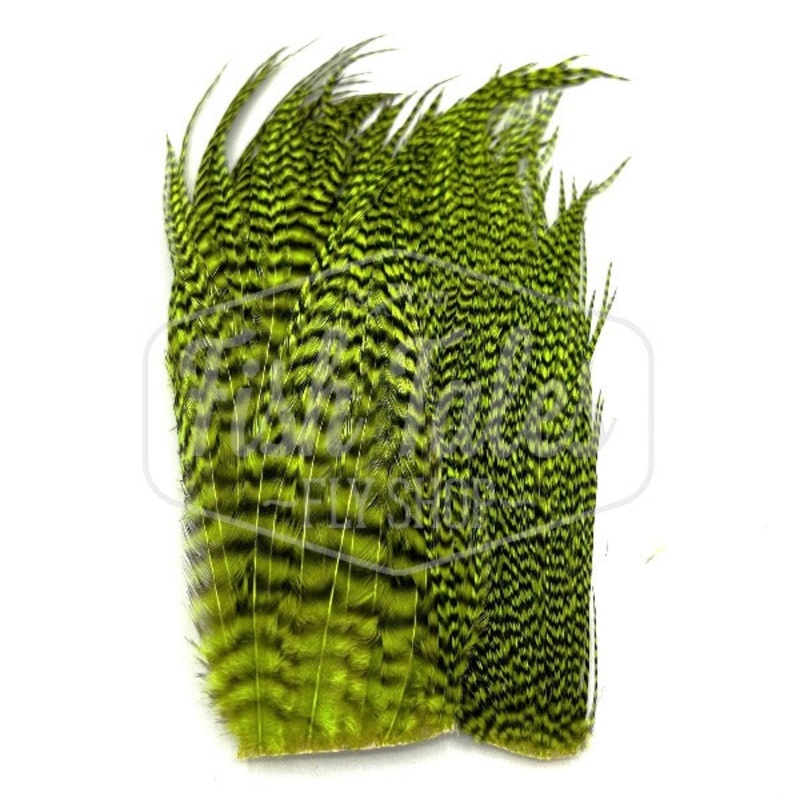 Whiting Farms Bugger Pack|Grizzly|Grizzly Orange|Grizzly Burnt Orange|Grizzly Brown|Grizzly Olive|Grizzly Golden Olive|Grizzly Fl Chartreuse|Grizzly Yellow|Grizzly Pink|Grizzly Purple|Grizzly Red|Golden Badger|Badger Olive|Badger Golden Olive|Barred Dark