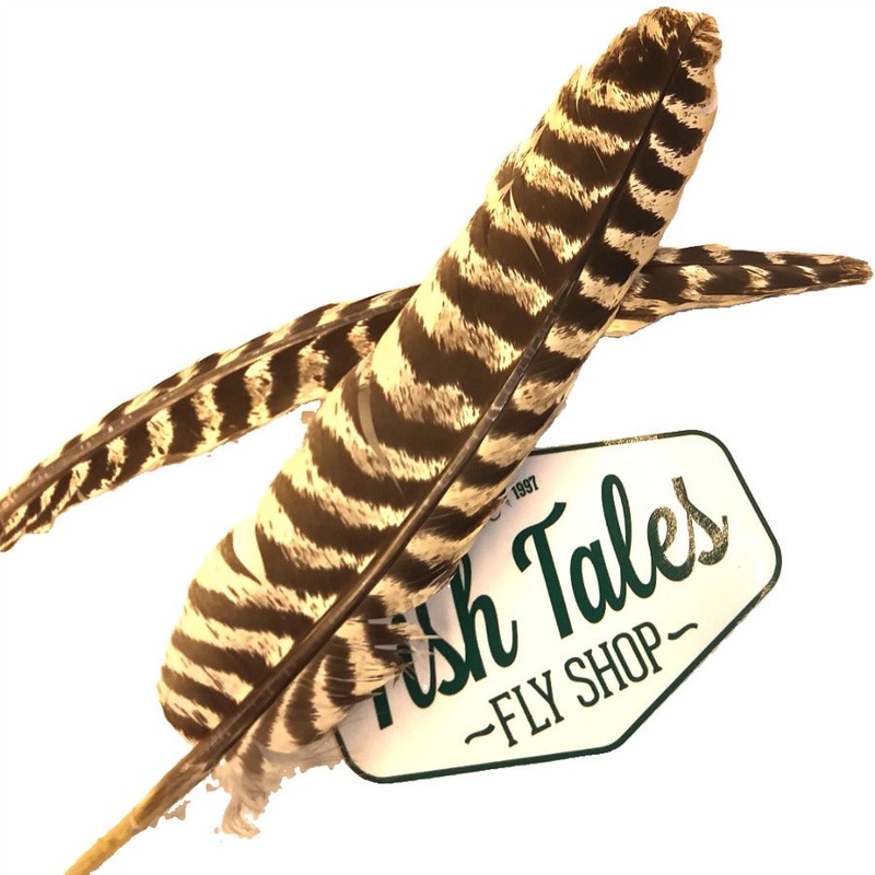 H&H Turkey Wing Quill Pair|Natural