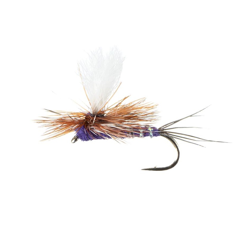 MFC Flies Para-Wulff Dry Fly|Purple|BWO|14|16|18