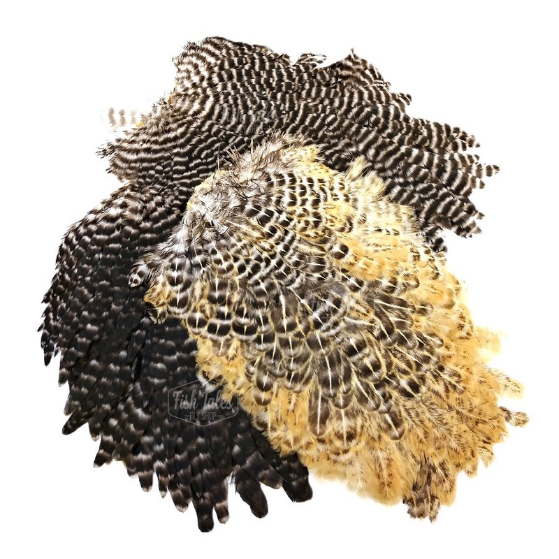 Metz #1 Hen Saddle|Black|Ginger Brown|Grizzly|Barred Variant