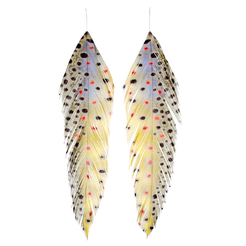 MFC Galloup’s Fish Feathers Fish Print